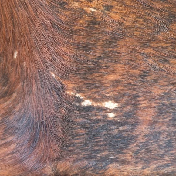 American West Rich Brown Leather and Fur Shoulder Bag - Picture 4 of 12